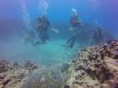 Hawaii Scuba divng 72