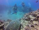 Hawaii Scuba divng 73