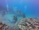 Hawaii Scuba divng 75