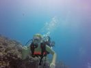 Hawaii Scuba divng 77