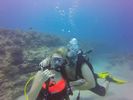 Hawaii Scuba divng 82