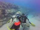 Hawaii Scuba divng 84