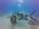 Hawaii Scuba divng 85