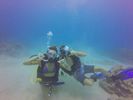 Hawaii Scuba divng 86