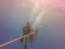 Hawaii Scuba divng 23