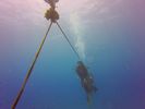 Hawaii Scuba divng 24