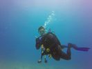 Hawaii Scuba divng 25