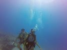 Hawaii Scuba divng 28