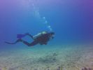 Hawaii Scuba divng 33