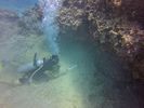 Hawaii Scuba divng 36