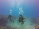 Hawaii Scuba divng 38