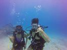 Hawaii Scuba divng 42