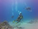 Hawaii Scuba divng 46
