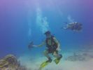 Hawaii Scuba divng 47