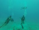 Hawaii Scuba divng 04