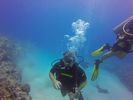 Hawaii Scuba divng 51