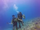 Hawaii Scuba divng 54