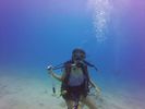 Hawaii Scuba divng 62