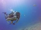 Hawaii Scuba divng 64