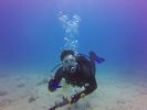 Hawaii Scuba divng 68