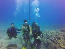 Hawaii Scuba divng 69