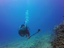 Hawaii Scuba divng 73