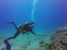 Hawaii Scuba divng 74