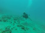 Hawaii Scuba divng 12