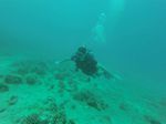 Hawaii Scuba divng 14