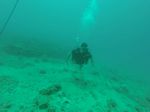 Hawaii Scuba divng 15