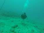 Hawaii Scuba divng 15