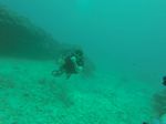 Hawaii Scuba divng 24