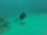 Hawaii Scuba divng 27