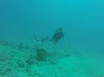 Hawaii Scuba divng 05