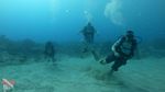 Waikiki scuba 25