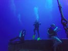 Hawaii Scuba divng 11