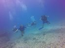 Hawaii Scuba divng 38