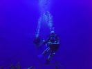 Hawaii Scuba divng 03