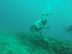 Hawaii Scuba divng 10