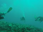 Hawaii Scuba divng 11