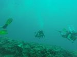 Hawaii Scuba divng 12