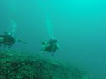 Hawaii Scuba divng 13
