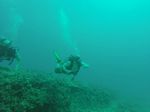 Hawaii Scuba divng 14