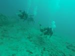 Hawaii Scuba divng 15