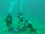 Hawaii Scuba divng 20