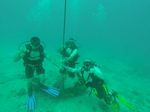 Hawaii Scuba divng 21