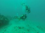 Hawaii Scuba divng 23