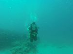 Hawaii Scuba divng 24