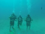 Hawaii Scuba divng 05