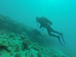 Hawaii Scuba divng 23